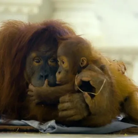 Du Moulin 2 B Proche De Google Et Daiza Parc Apartamento *